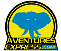 Footer Logo