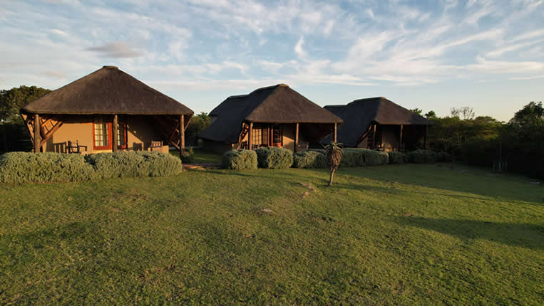 Safari Afrique Chasse