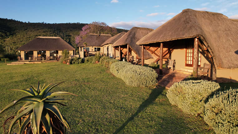 Safari Afrique Chasse