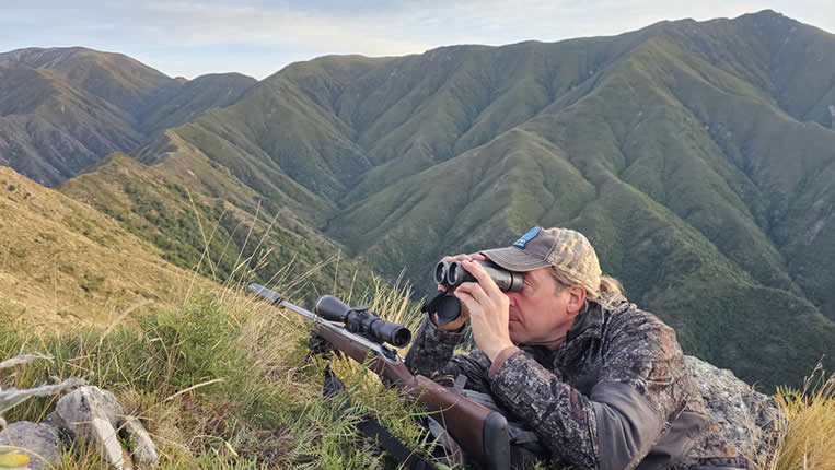 Chasse nz