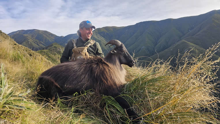 Chasse nz