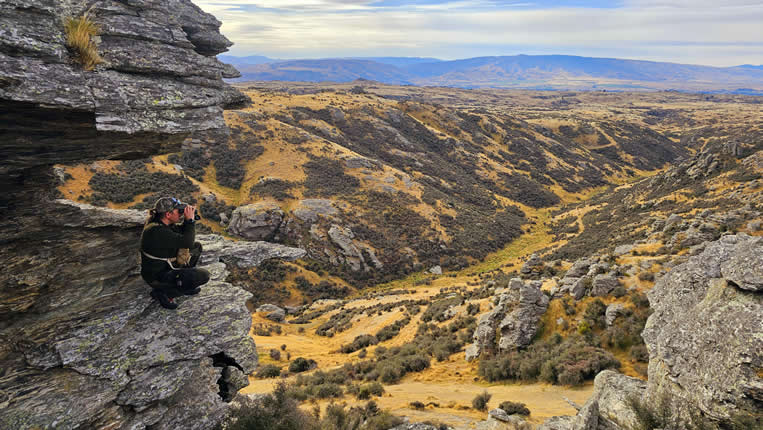 Chasse nz