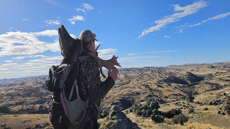 Chasse nz