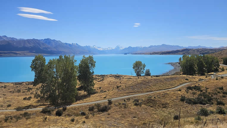 Chasse nz