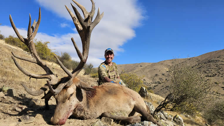 Chasse nz