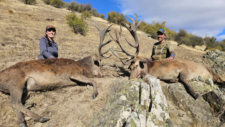 Chasse nz