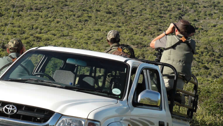 Safari Afrique Chasse