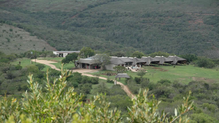 Safari Afrique Chasse