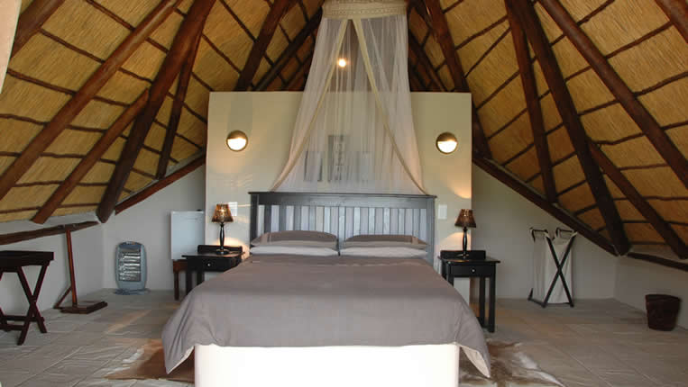 Safari Afrique Chasse
