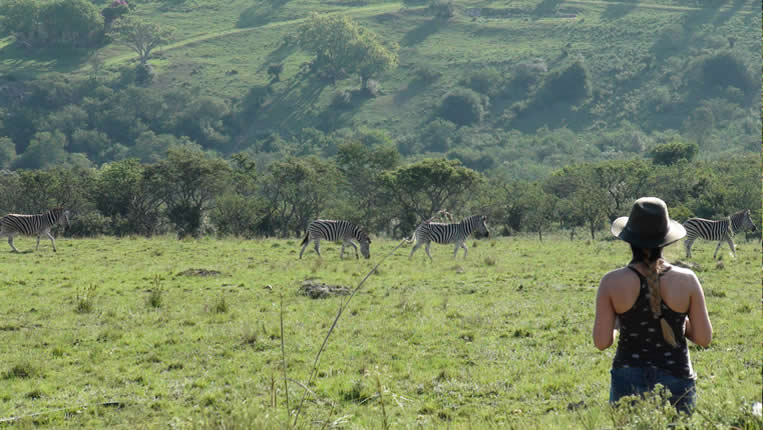 safari photo