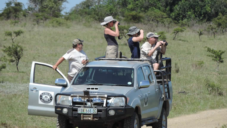 safari photo