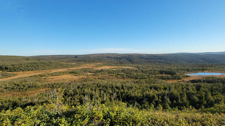 Terre-Neuve
